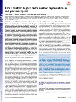 Casz1 Controls Higher-Order Nuclear Organization in Rod Photoreceptors