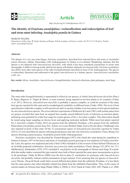 The Identity of Entyloma Anadelphiae: Reclassification and Redescription of Leaf and Stem Smut Infecting Anadelphia Pumila in Guinea