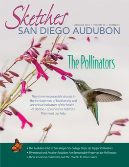 The Pollinators