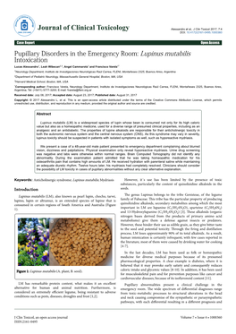 Pupillary Disorders in the Emergency Room: Lupinus Mutabilis Intoxication