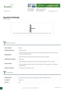 Apoa4 Antibody Cat