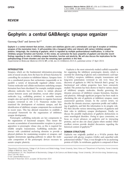 Gephyrin: a Central Gabaergic Synapse Organizer
