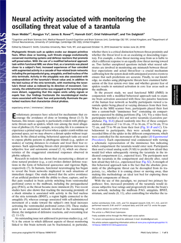 Neural Activity Associated with Monitoring the Oscillating Threat Value of a Tarantula