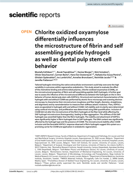Chlorite Oxidized Oxyamylose Differentially Influences the Microstructure of Fibrin and Self Assembling Peptide Hydrogels As