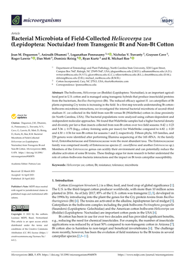 From Transgenic Bt and Non-Bt Cotton