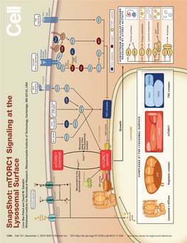 Snapshot: Mtorc1 Signaling at the Lysosomal Surface Liron Bar-Peled and David M