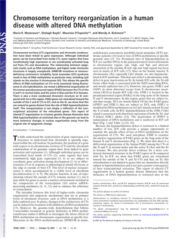 Chromosome Territory Reorganization in a Human Disease with Altered DNA Methylation