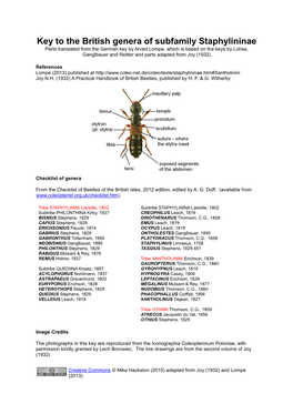 Key to the British Genera of Subfamily Staphylininae