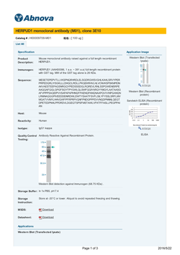 HERPUD1 Monoclonal Antibody (M01), Clone 3E10