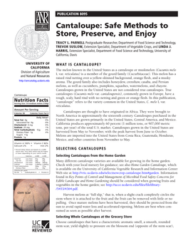 Cantaloupe: Safe Methods to Store, Preserve, and Enjoy