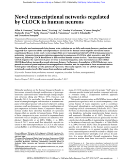 Novel Transcriptional Networks Regulated by CLOCK in Human Neurons