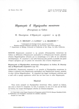 Hepatocystis D'hypsignatbus Monstrosus (Pteropinae) Au Gabon