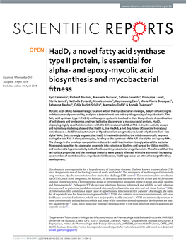 Hadd, a Novel Fatty Acid Synthase Type II Protein, Is Essential for Alpha- and Epoxy-Mycolic Acid Biosynthesis and Mycobacterial