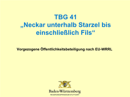 TBG 41 „Neckar Unterhalb Starzel Bis Einschließlich Fils“