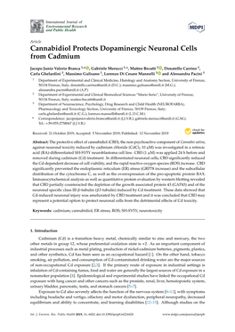 Cannabidiol Protects Dopaminergic Neuronal Cells from Cadmium