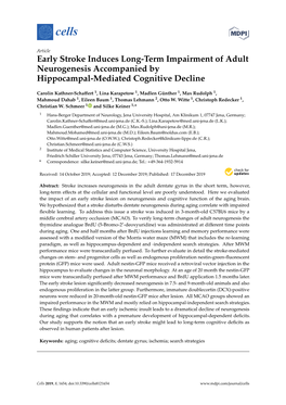 Early Stroke Induces Long-Term Impairment of Adult Neurogenesis Accompanied by Hippocampal-Mediated Cognitive Decline