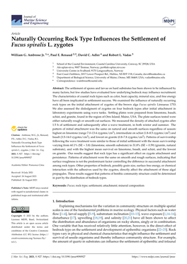 Naturally Occurring Rock Type Influences the Settlement of Fucus Spiralis L. Zygotes