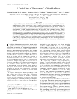 A Physical Map of Chromosome 7 of Candida Albicans