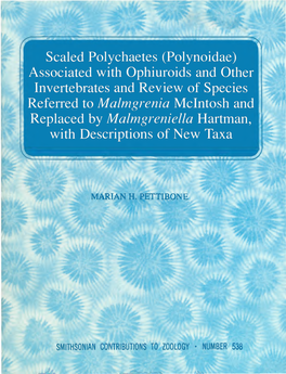 Scaled Polychaetes