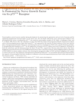 Programmed Cell Death in the Developing Somites Is Promoted By