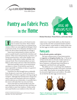 Pantry and Fabric Pests in the Home