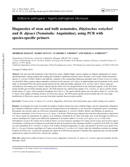 Diagnostics of Stem and Bulb Nematodes, Ditylenchus Weischeri and D