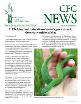 CFC Helping Fund Restoration of Smooth Green Snake to Greenway