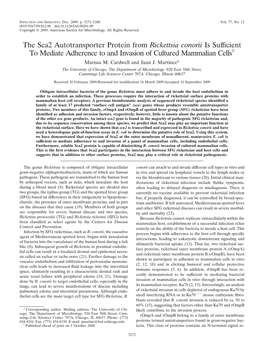 The Sca2 Autotransporter Protein from Rickettsia Conorii Is Sufficient To