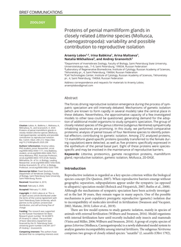 Proteins of Penial Mamilliform Glands in Closely Related Littorina Species