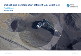 Outlook and Benefits of an Efficient U.S. Coal Fleet Final Report January 2019