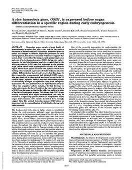 A Rice Homeobox Gene, OSHJ, Is Expressed Before Organ