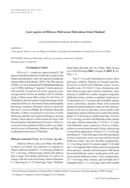 A New Species of Hibiscus (Malvaceae-Malvoideae) from Thailand