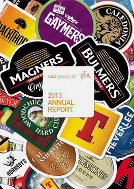 2013 Annual Report