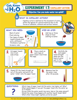 EXPERIMENT 17: CAPILLARY ACTION Objective: Can You Make Water Run Uphill?