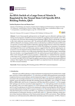 An RNA Switch of a Large Exon of Ninein Is Regulated by the Neural Stem Cell Speciﬁc-RNA Binding Protein, Qki5