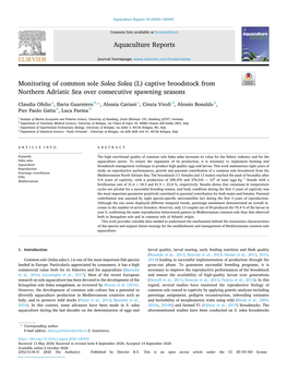 Monitoring of Common Sole Solea Solea (L) Captive Broodstock from Northern Adriatic Sea Over Consecutive Spawning Seasons