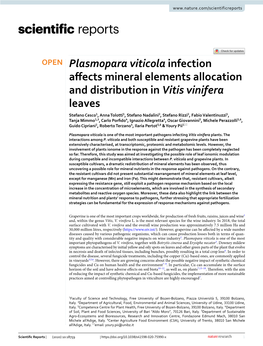 Plasmopara Viticola Infection Affects Mineral Elements Allocation And