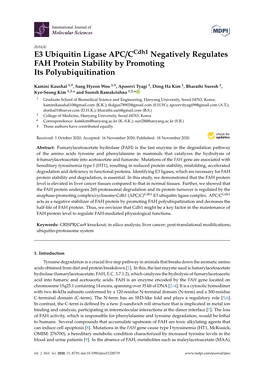 E3 Ubiquitin Ligase APC/Ccdh1 Negatively Regulates FAH Protein Stability by Promoting Its Polyubiquitination