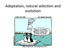 Adaptation, Natural Selection and Evolution Learning Intentions • Give the Meaning of the Term Mutation
