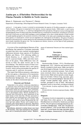 Loaina Gen. N. (Filarioidea: Onchocercidae) for the Filariae Parasitic in Rabbits in North America