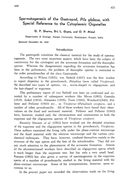 Spermatogenesis of the Gastropod, Pila Globosa, with S Pecial