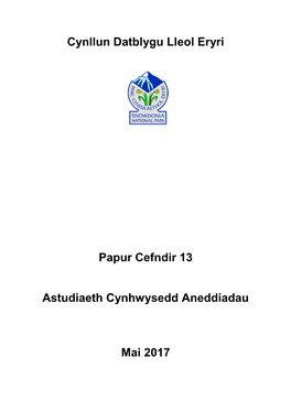 Cynllun Datblygu Lleol Eryri Papur Cefndir 13 Astudiaeth Cynhwysedd