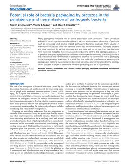 Potential Role of Bacteria Packaging by Protozoa in the Persistence and Transmission of Pathogenic Bacteria