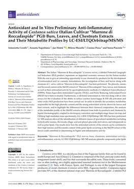 Antioxidant and in Vitro Preliminary Anti-Inflammatory