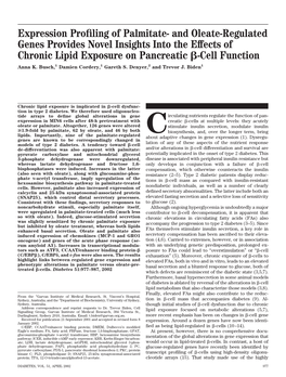 Expression Profiling of Palmitate