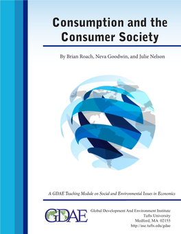 Consumption and the Consumer Society