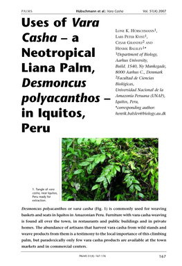 Uses of Vara Casha – a Neotropical Liana Palm, Desmoncus Polyacanthos – in Iquitos, Peru