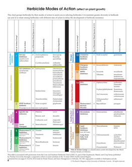 Herbicide Modes of Action (Effect on Plant Growth)