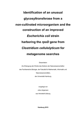 Identification of an Unusual Glycosyltransferase from a Non