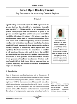 Small Open Reading Frames Tiny Treasures of the Non-Coding Genomic Regions